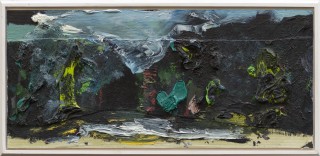 Mucky-Wucky  (25x51cm, 2009, paint on canvas)