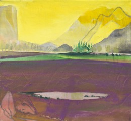 Peter (b) (60x65cm, 2014, paint on canvas)