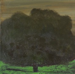 BOND 2007. The rage of love I