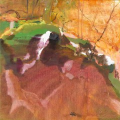 BOND. 2008. Lost among roots