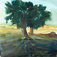 BOND. 2008. LOST among trees