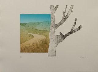 BOND. 1982. ORD RIVER (W.A.)