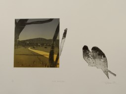 BOND. 1982. WILD BUDGIES.