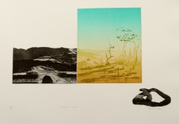 BOND. 1982. SNAKE (AUS)