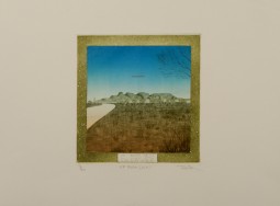 BOND. 1979. UP BUSH (N.T.)