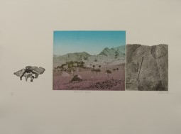 BOND. 1982. BRACHINA GORGE.